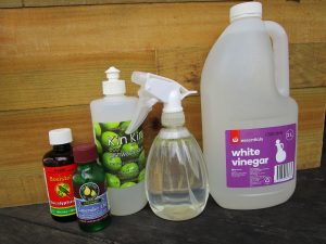 NATURAL  ALL-PURPOSE  CLEANER