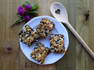 BLUEBERRY OAT SLICE